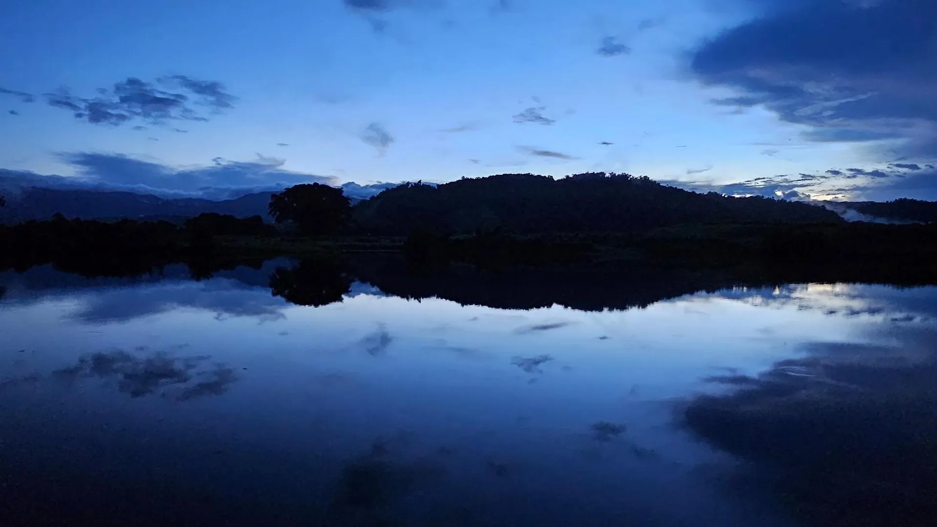 Daintree Riverview Lodges