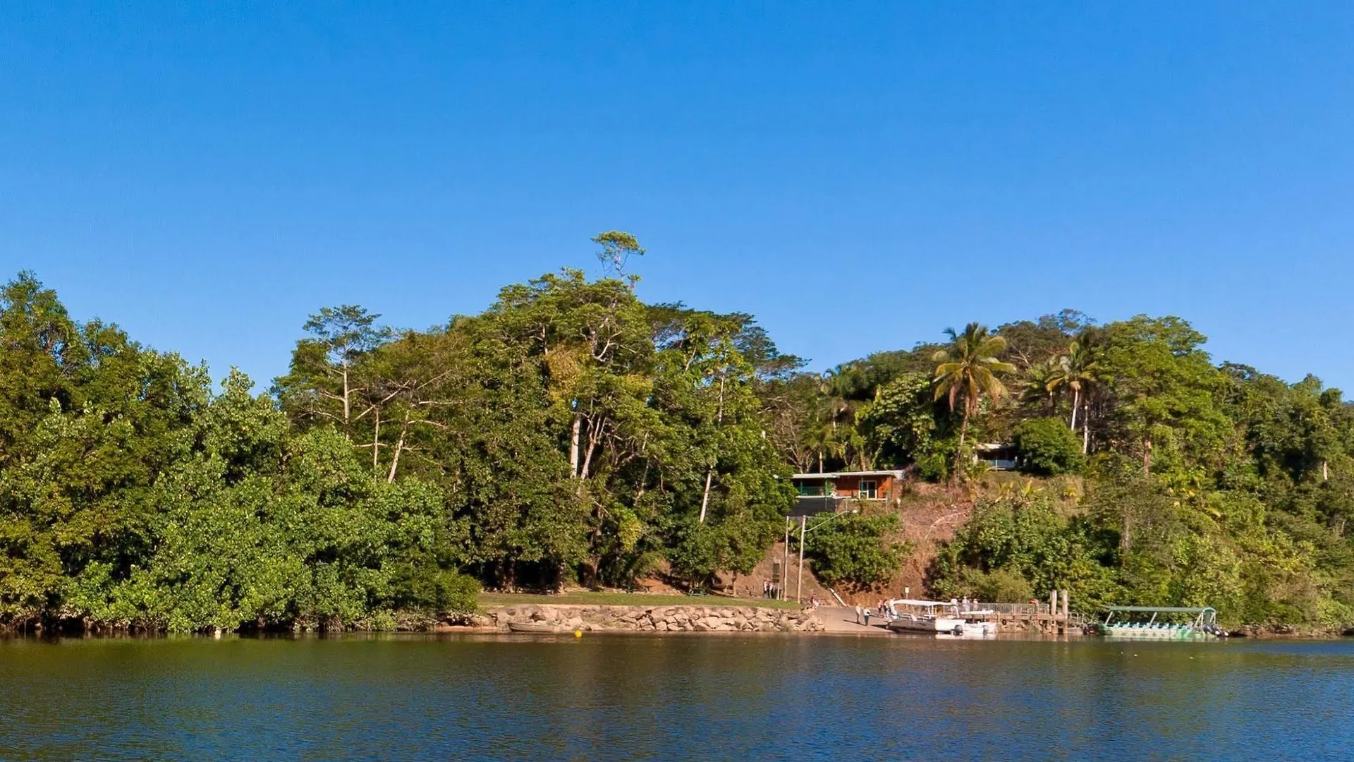 Daintree Riverview Lodges