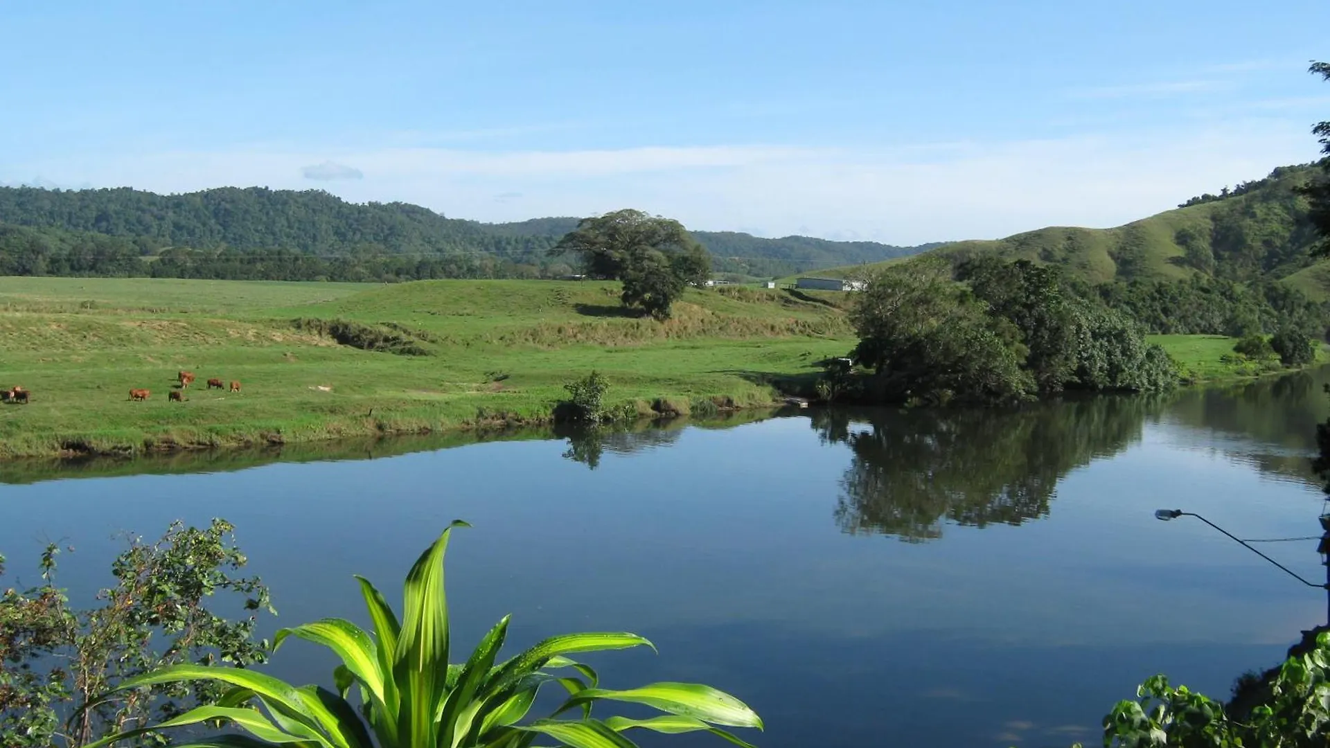 Daintree Riverview Lodges contacts